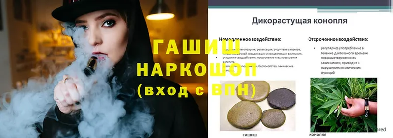 дарнет шоп  Нолинск  ГАШИШ Cannabis 